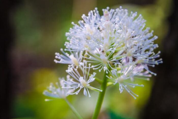 Art Advent Calendar: Day 14