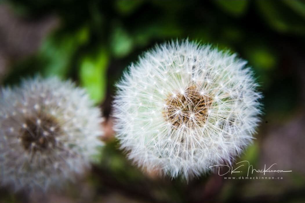 Art Advent Calendar: Day 16