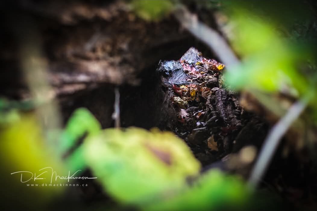 Art Advent Calendar: Day 2