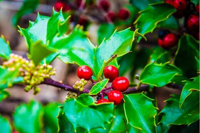 Art Advent Calendar: Day 21