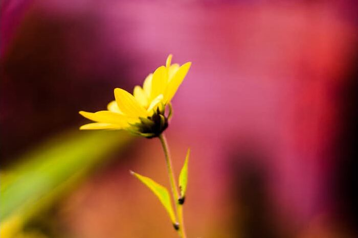 Art Advent Calendar: Day 13