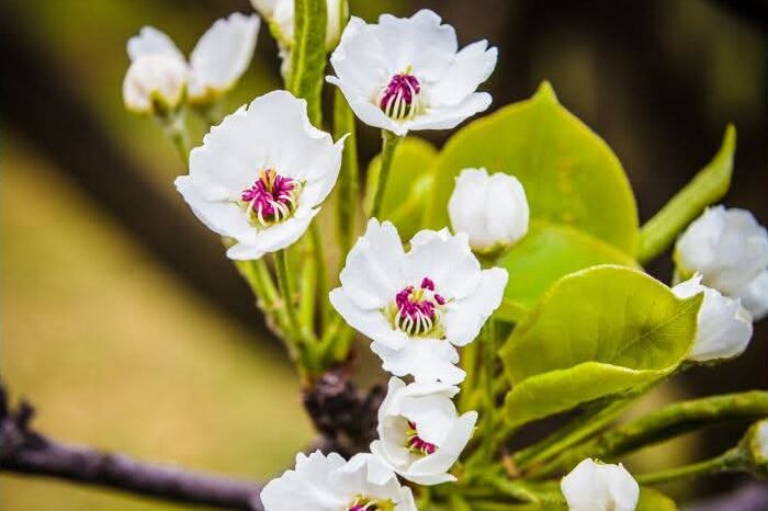 Art Advent Calendar: Day 18