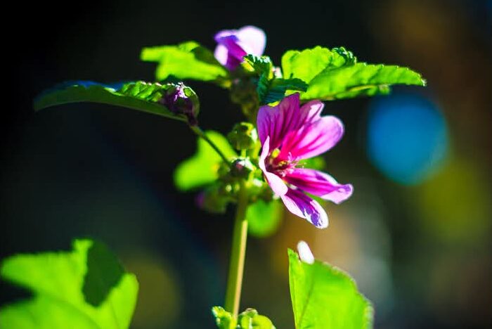 Art Advent Calendar: Day 9