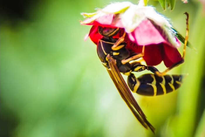 Art Advent Calendar: Day 10