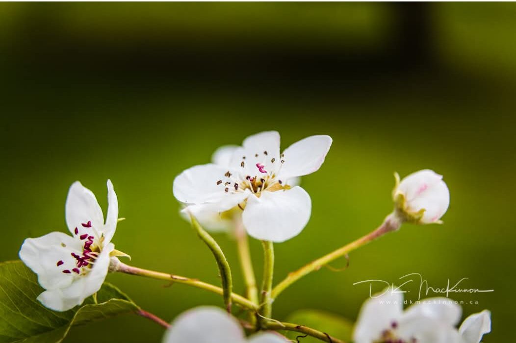 Art Advent Calendar: Day 7